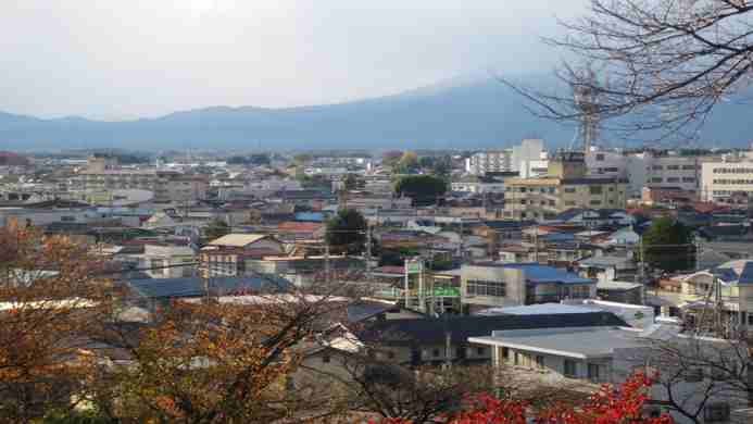 Sealuck Pal Utsunomiya photo 1