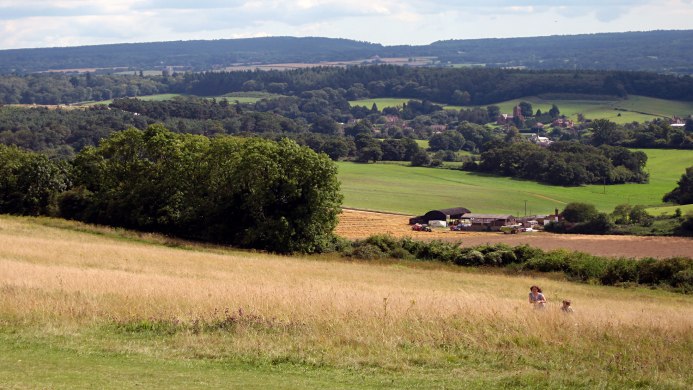 Brooklands Hotel Surrey photo 1