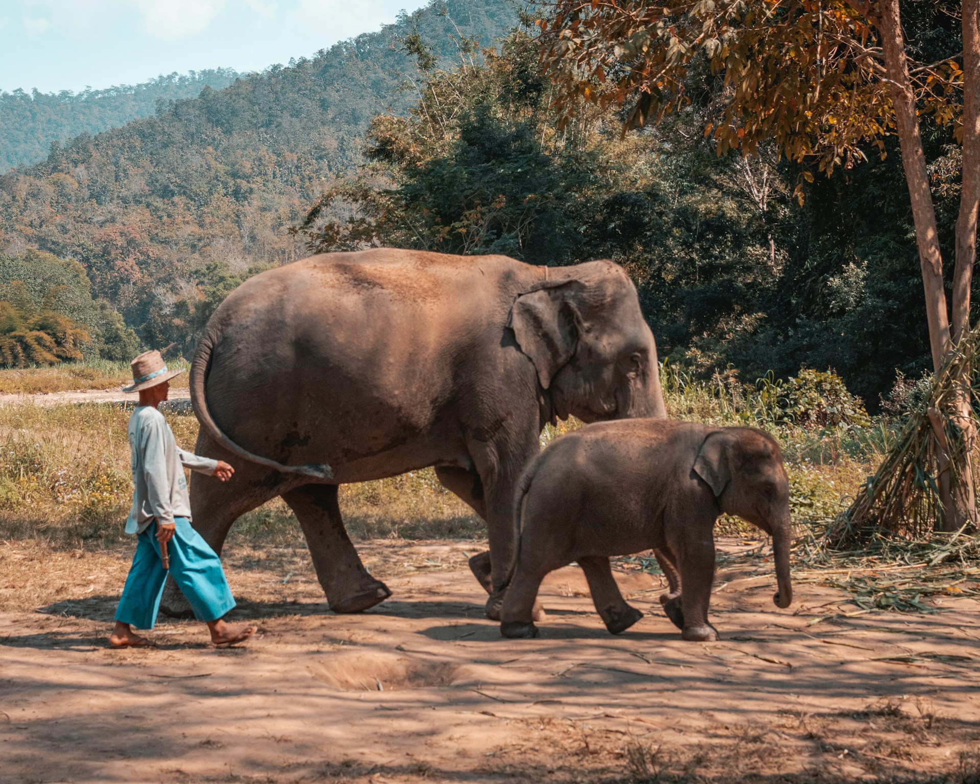 Chiang Rai