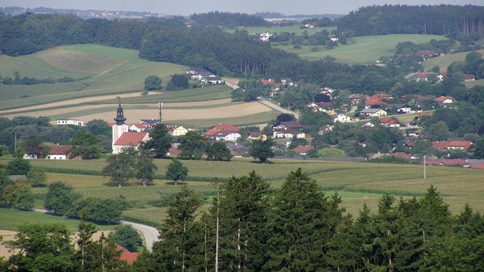 Wels