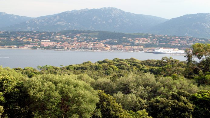 Corsica