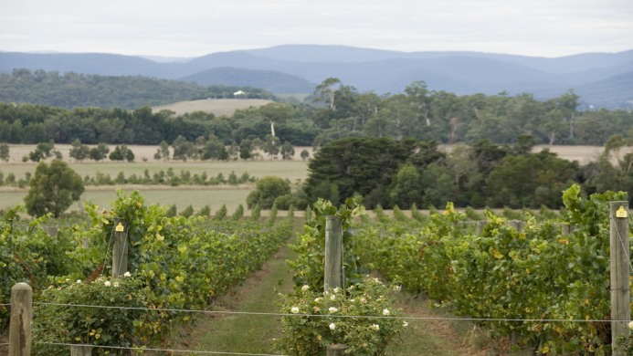 Yarra Valley