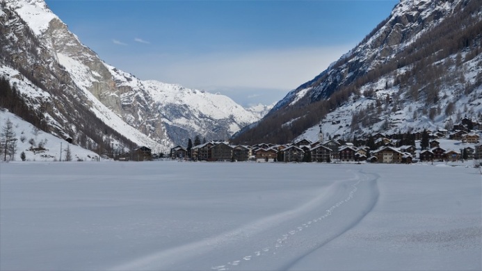 Taesch