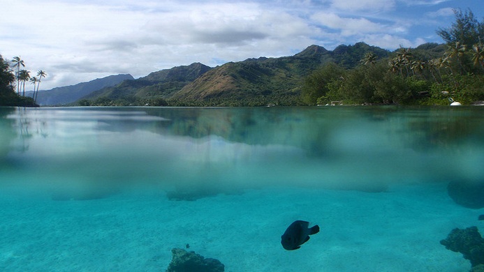 Moorea-Hauru Point