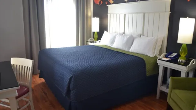 Hotel Indigo Atlanta Midtown photo 1