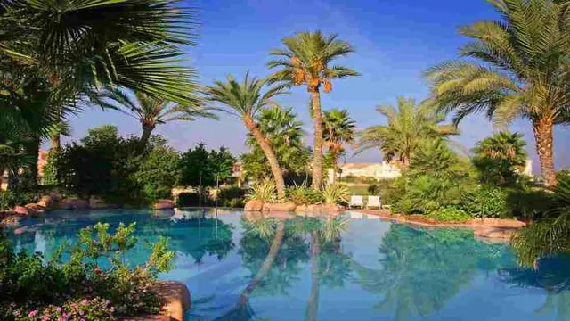 Husa Alicante Hotel photo 2