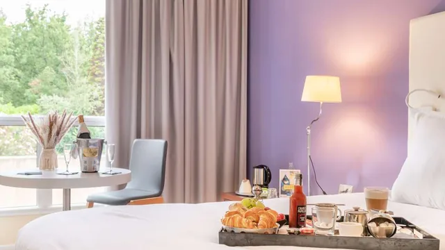 Mercure Antibes Sophia Antipolis Hotel photo 9