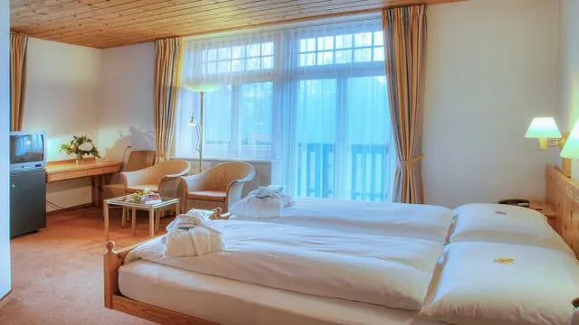 Sunstar Hotel Flims photo 4