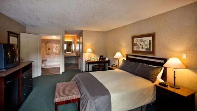 Swiss Village Lodge Banff photo 1