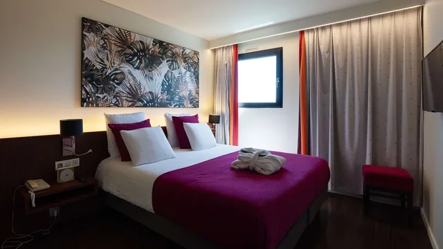 Mercure Perpignan Centre Hotel photo 1