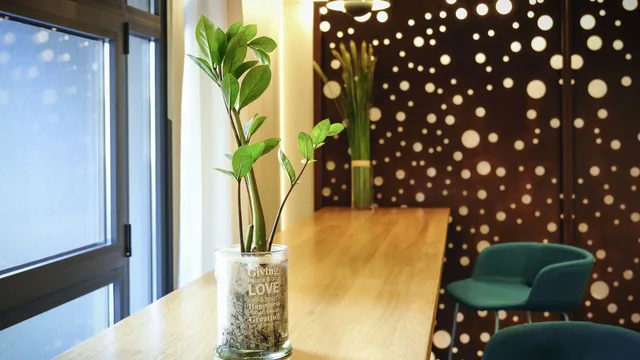 Mercure Perpignan Centre Hotel photo 10