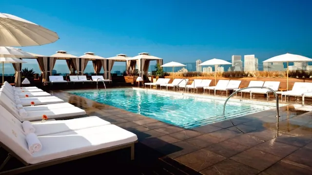 Thompson Hotel Beverly Hills photo 5