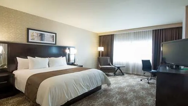 DoubleTree by Hilton Hotel Washington DC - Crystal City photo 3