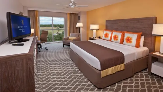 Gaylord Palms Hotel & Convention Center Orlando photo 3