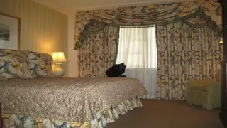 Hotel Monteleone New Orleans