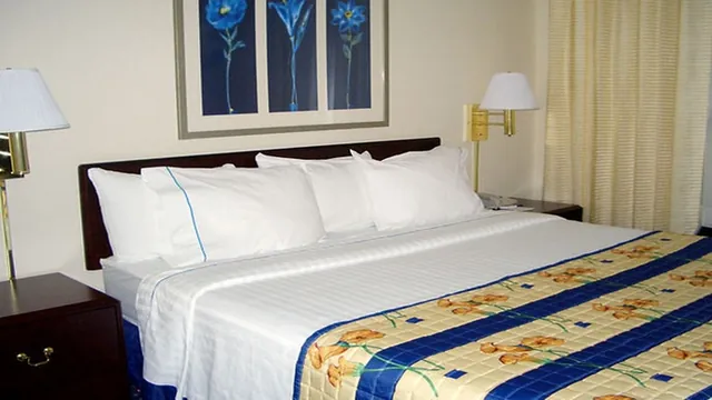 Holiday Inn Express Hotel & Suites Tempe photo 3
