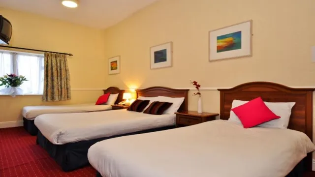 Lynams Hotel Dublin photo 3