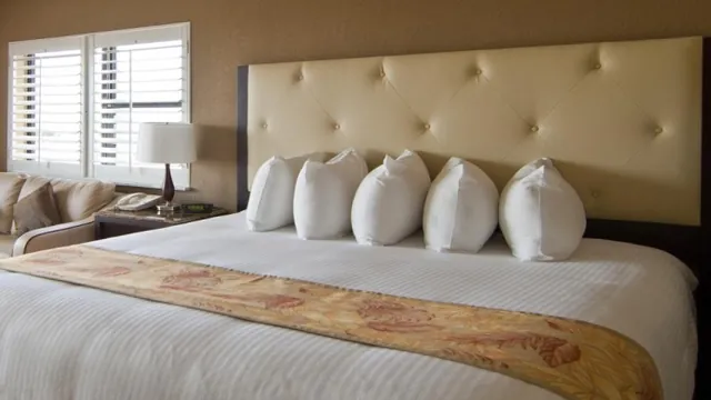 Wyndham Garden Clearwater Beach Hotel photo 1