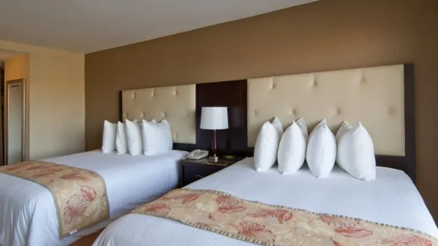 Wyndham Garden Clearwater Beach Hotel photo 3