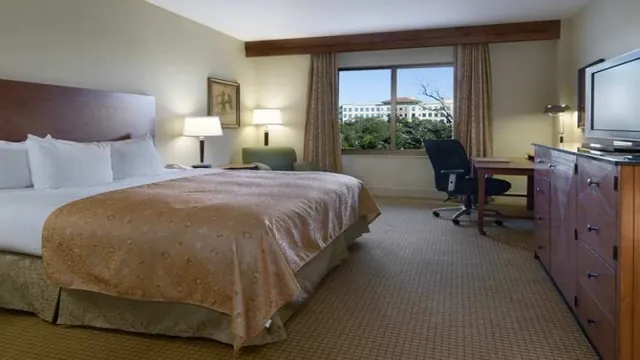 St. Petersburg Marriott Clearwater photo 3