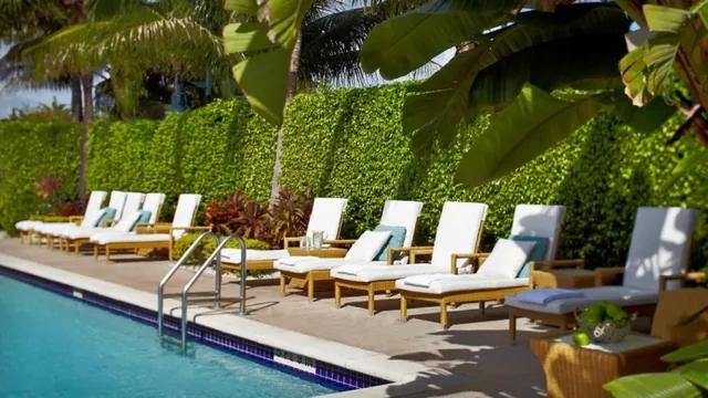 Ocean Palms Hotel St. Petersburg photo 3