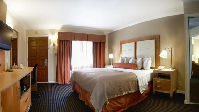 La Quinta Inn & Suites San Francisco Airport West photo 3