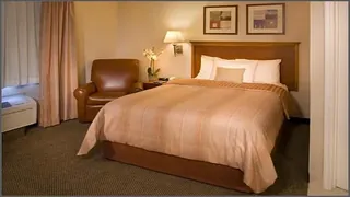 Comfort Suites Intercontinental Plaza Houston