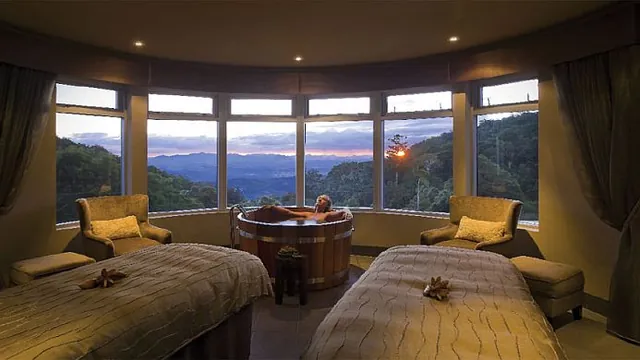 O'Reilly's Rainforest Retreat Gold Coast photo 1