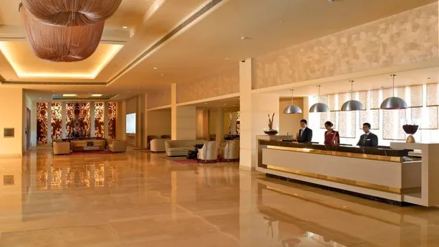 The Arena photo 1