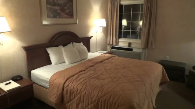 Comfort Hotel Tours photo 3