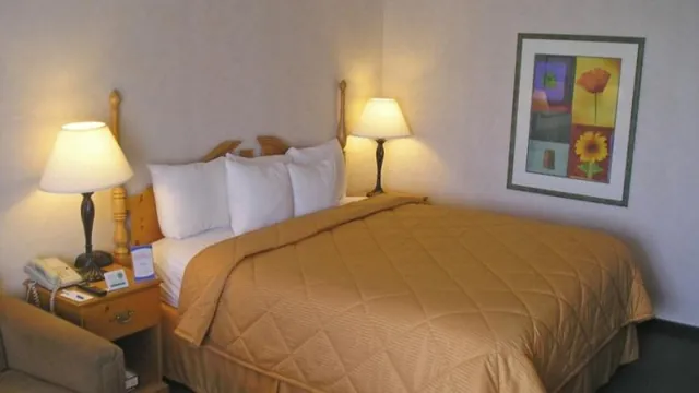 Ibis Compiègne photo 3