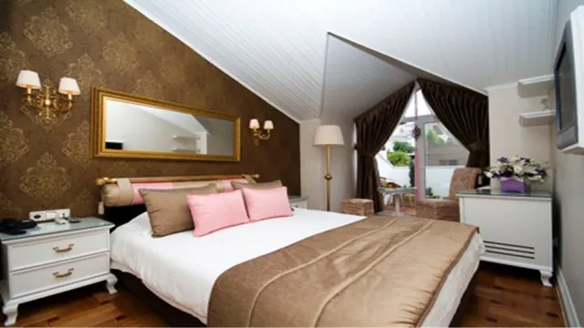 Ibis Roanne photo 3