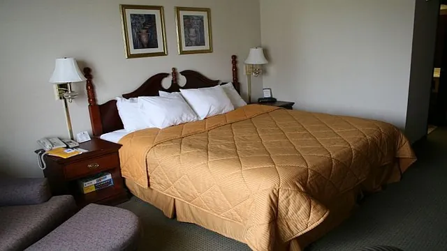 Comfort Inn & Suites Market Center photo 1