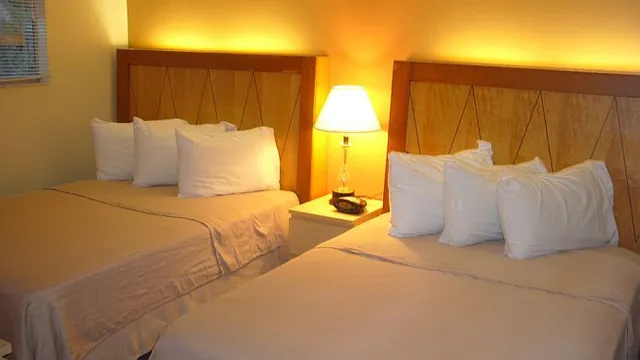 Sofitel Los Angeles at Beverly Hills photo 2