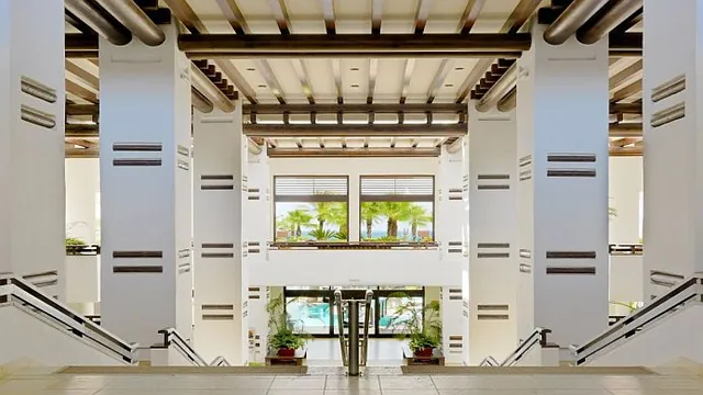 Vista Inn And Suites Tampa photo 3