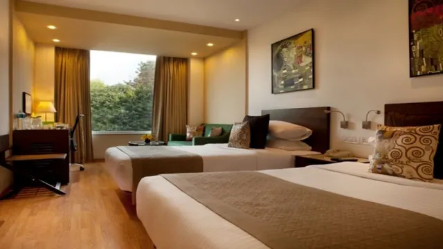 Lemon Tree Hotel Chandigarh photo 4
