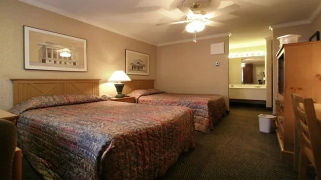 Los Aticos B & B Cuzco photo 3