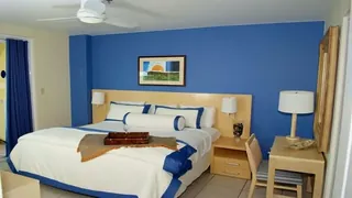 Lemontree Oceanfront Cottage Rincon