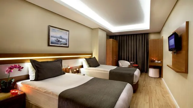 Amethyst Hotel Istanbul photo 5