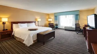 Woodbine Hotel & Suites Toronto