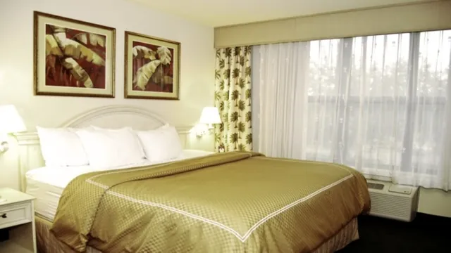 Budget Lodge Downtown Phoenix photo 3