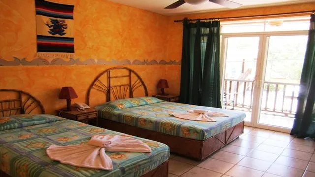 Tropical Sol Hotel Kos photo 1
