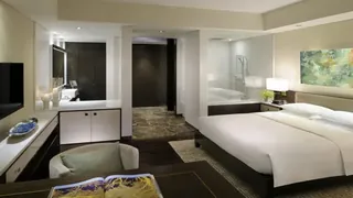 Park Hyatt Hotel Hyderabad