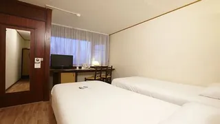 Ibis Lyon Sud Chasse sur Rhone
