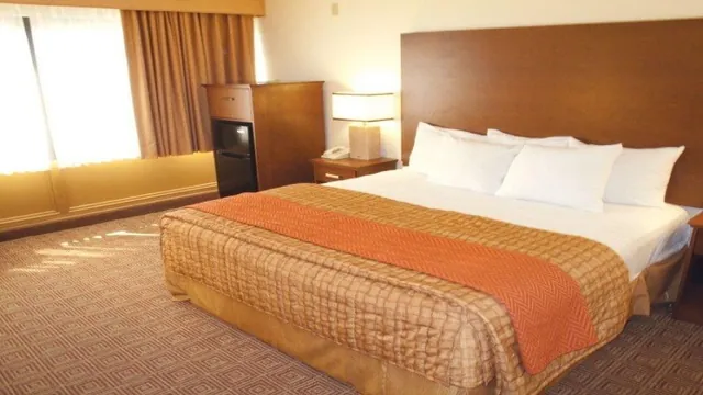 Royal Clipper Inn & Suites Virginia Beach, VA photo 2