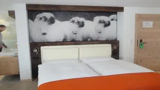 Europe Hotel & Spa Zermatt