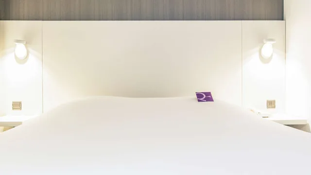 Mercure Strasbourg Centre Petite France hotel photo 2