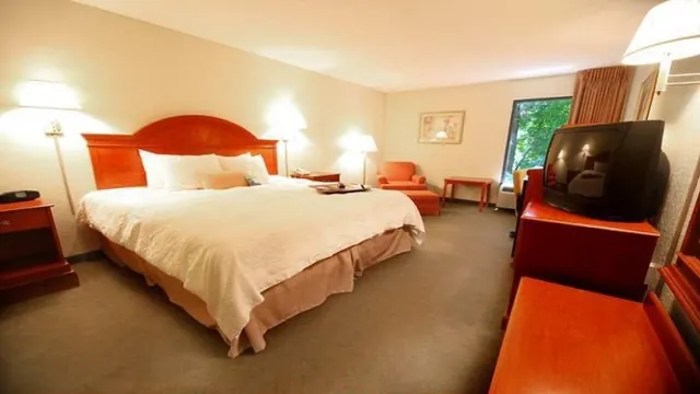 Rodeway Inn Gainesville photo 3