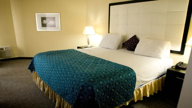 3 Palms Sarasota Suites Hotel photo 2