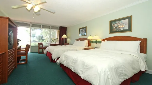 The Royal Palms Pembroke Hotel photo 3